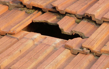 roof repair Middle Burnham, Somerset